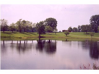 Property photo 21 - LAND AUCTION, 169+/- Acres offered in 6 Tracts, 77+/- Acres Quality Farmland